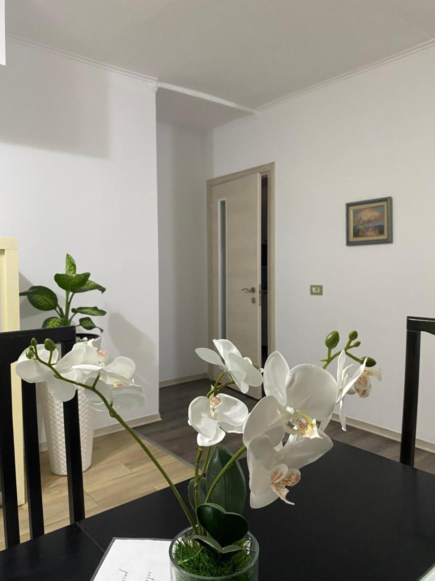 Main Apartment Tirana Buitenkant foto