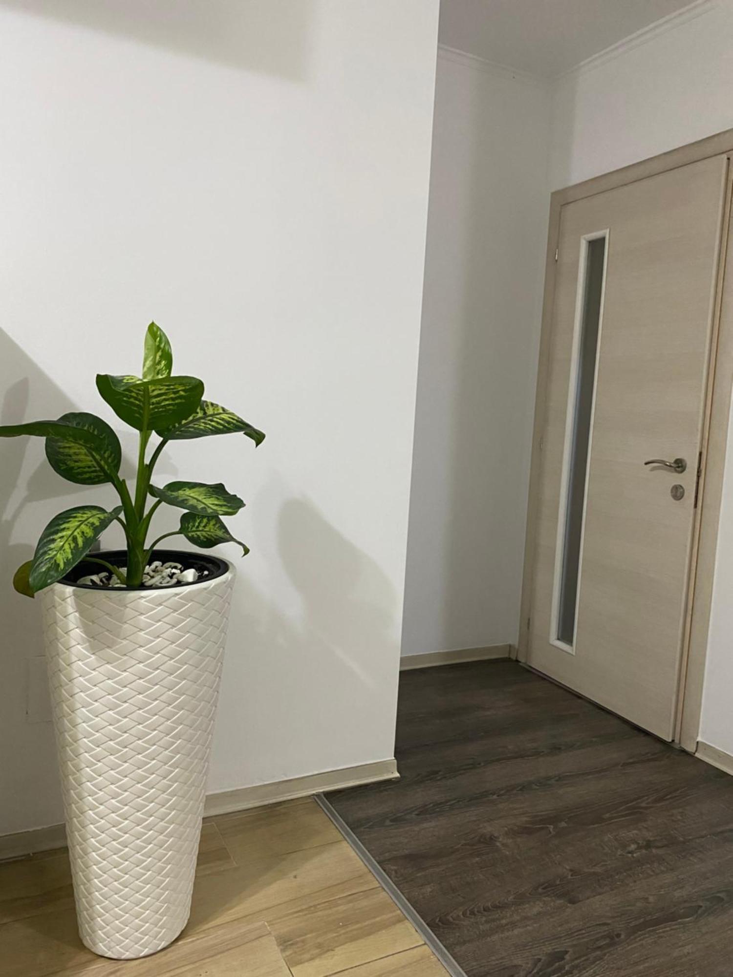 Main Apartment Tirana Buitenkant foto